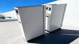 "Do" vs. "Does": How Do You Tell The Difference?