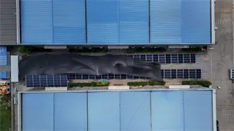 Complete Guide to 5G Base Station Construction | Key Steps,