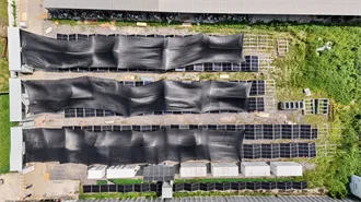 Shipping Container Energy Storage System Guide