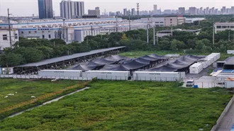 Collaborative water-electricity operation optimization of a